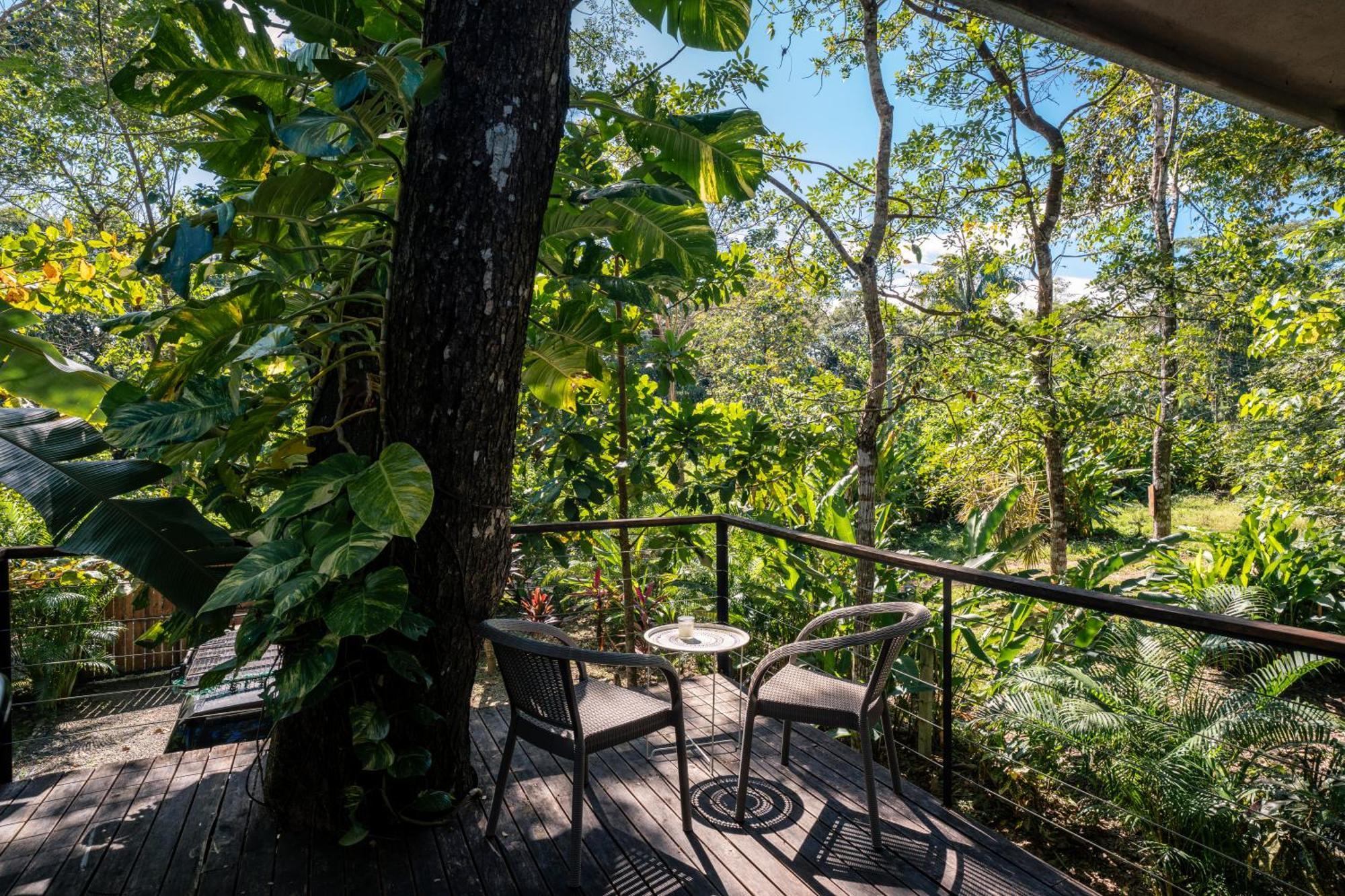 Feeling Trees Jungle Lodge Cabuya  Exteriör bild