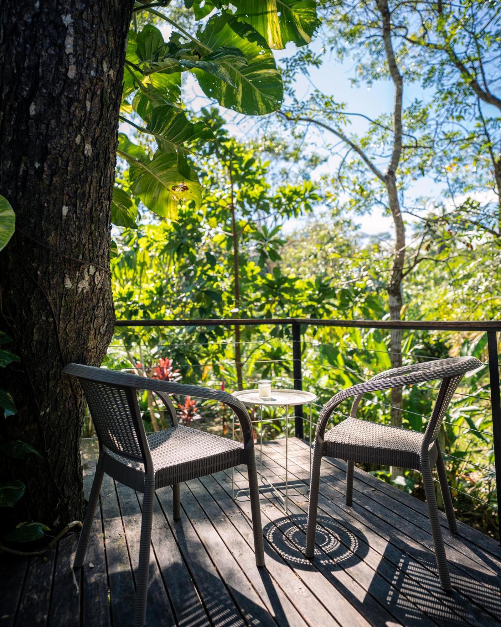 Feeling Trees Jungle Lodge Cabuya  Exteriör bild