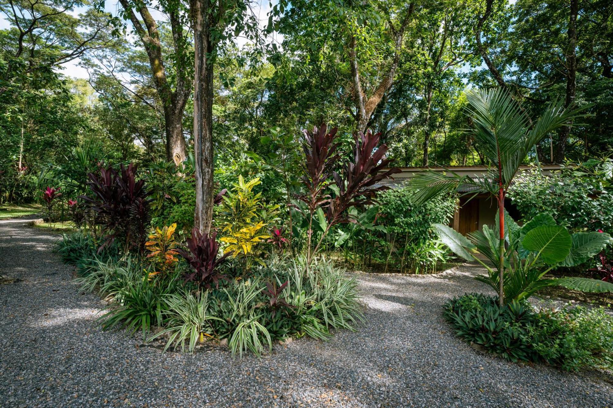 Feeling Trees Jungle Lodge Cabuya  Exteriör bild