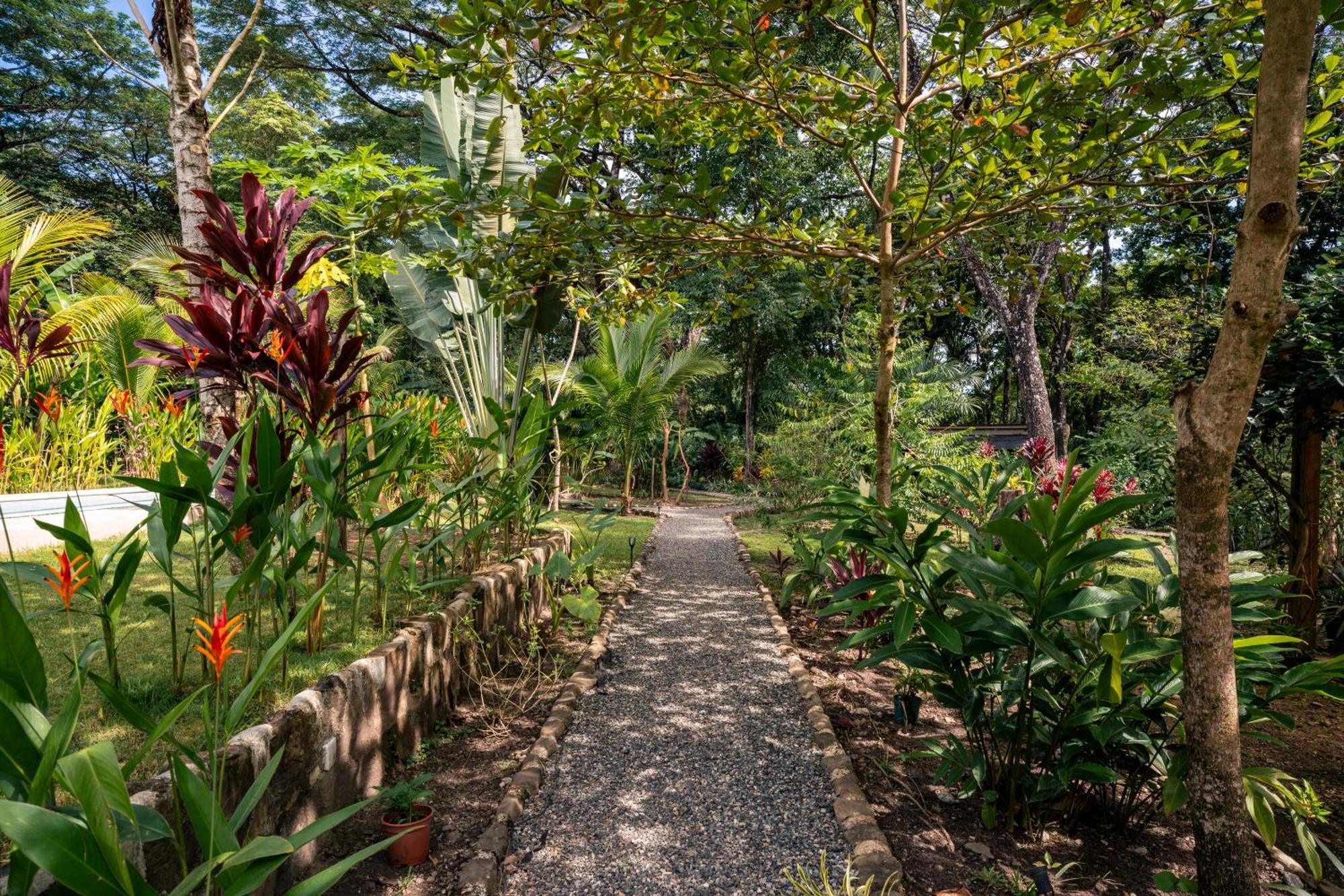 Feeling Trees Jungle Lodge Cabuya  Exteriör bild