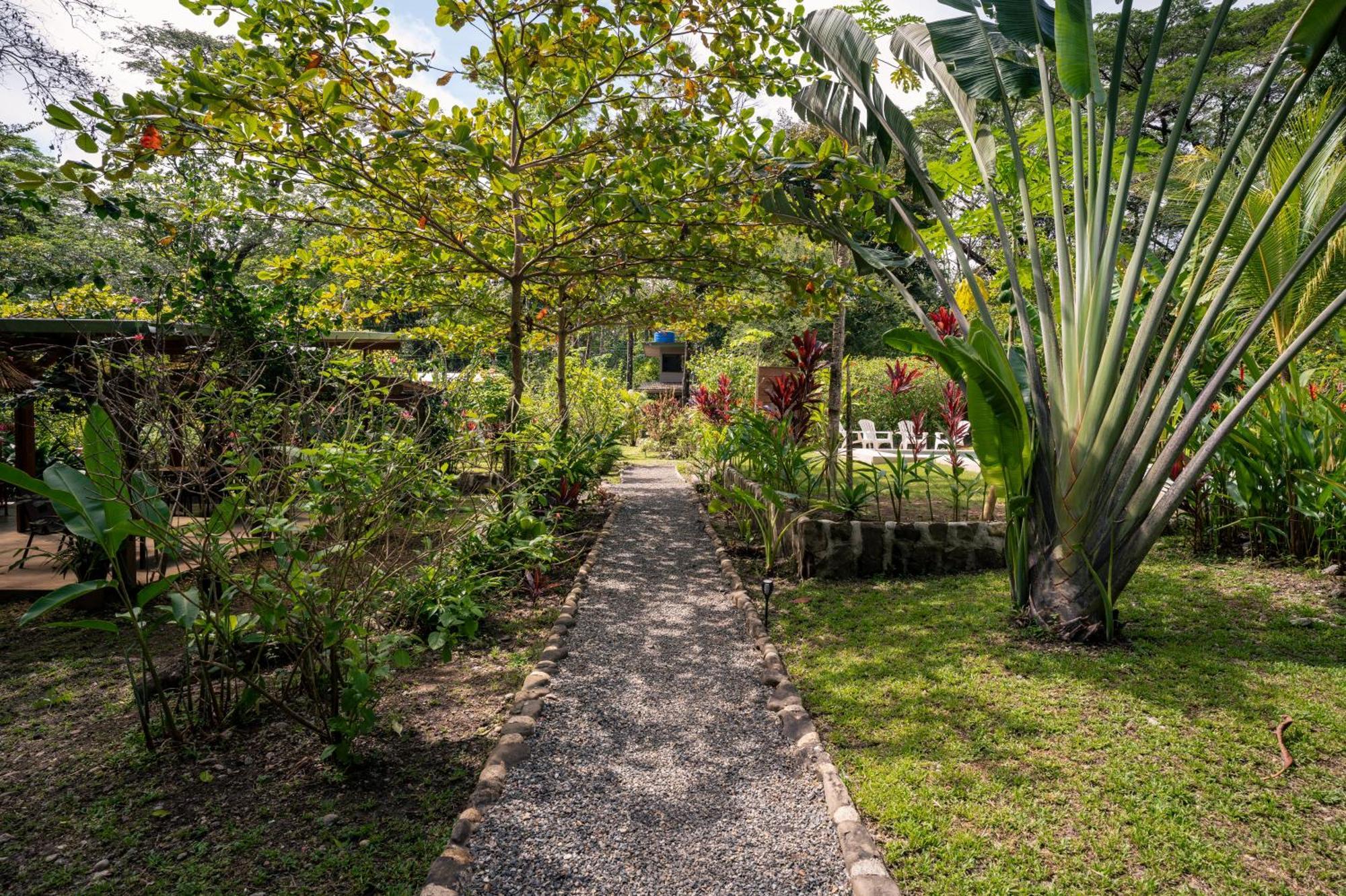 Feeling Trees Jungle Lodge Cabuya  Exteriör bild