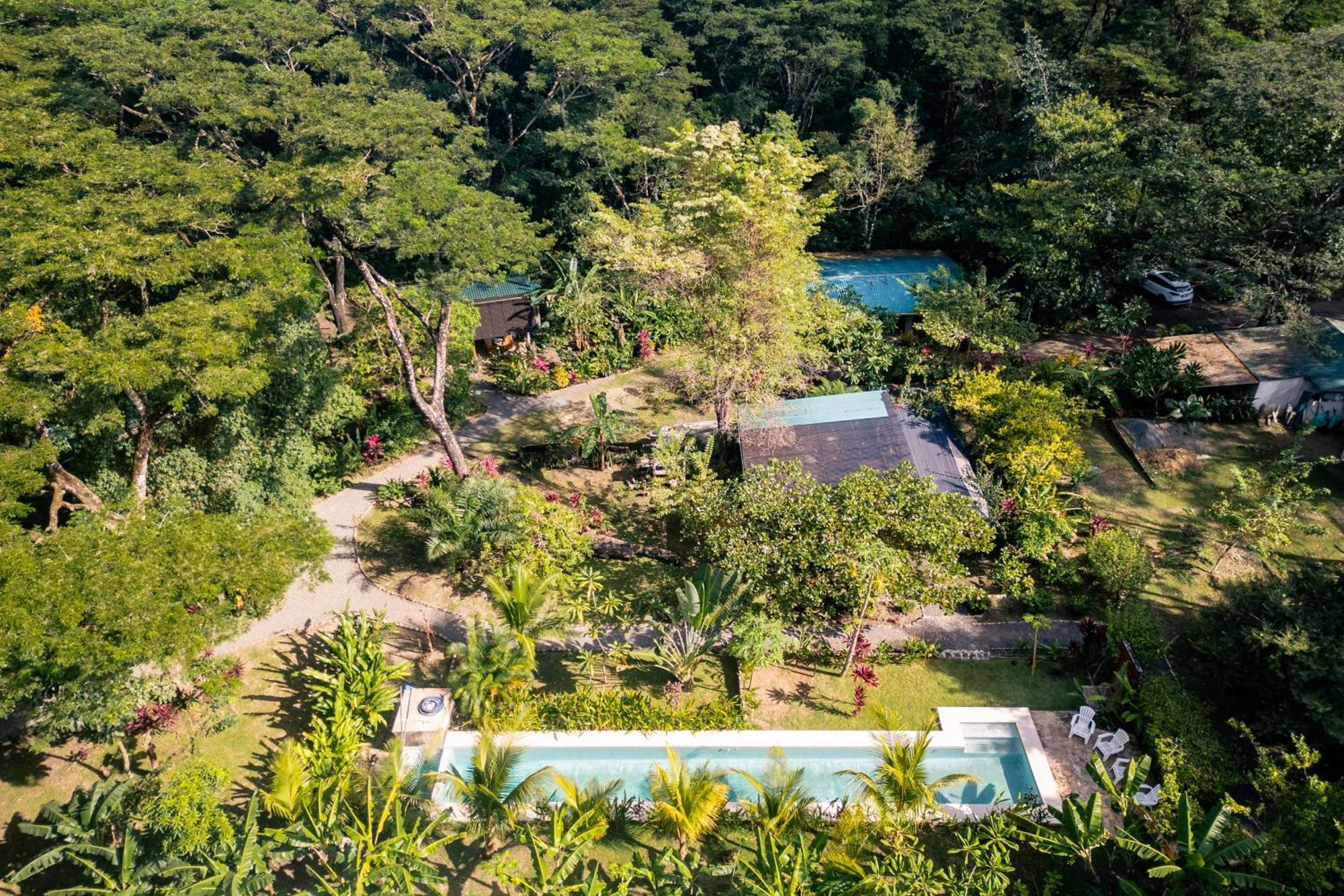 Feeling Trees Jungle Lodge Cabuya  Exteriör bild