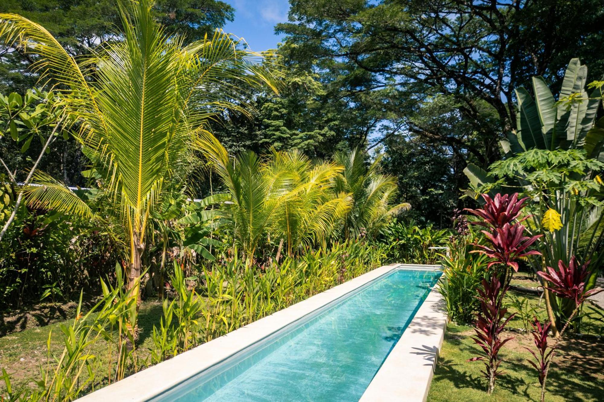 Feeling Trees Jungle Lodge Cabuya  Exteriör bild